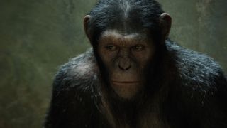 혹성탈출: 진화의 시작 Rise of the Planet of the Apes 사진
