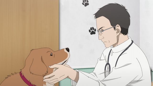 とんがり頭のごん太 2つの名前を生きた福島被災犬の物語 Photo