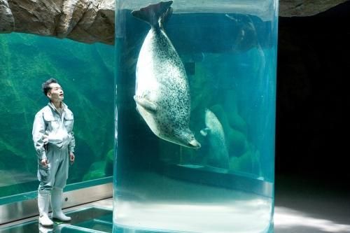 旭山動物園物語　ペンギンが空をとぶ Foto