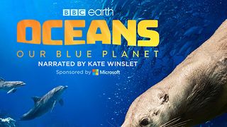 오션스: 아워 블루 플래닛 Oceans: Our Blue Planet 写真