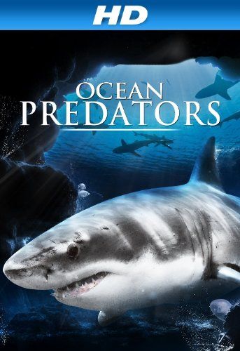 海洋捕食者 Ocean Predators劇照