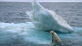 北極故事 Arctic Tale 사진