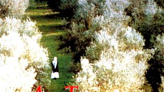 橄欖樹下的情人 THROUGH THE OLIVE TREES 写真