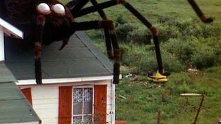 스파이더의 저주 The Giant Spider Invasion 사진
