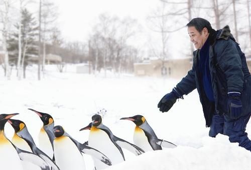 旭山動物園物語　ペンギンが空をとぶ劇照