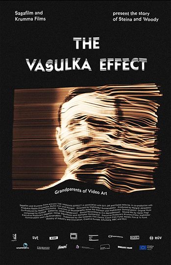 바술카 이펙트 The Vasulka Effect 사진