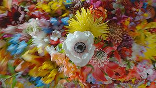 Grand Bouquet 사진
