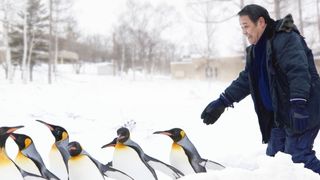 펭귄을 날게 하라 Penguins in the Sky - Asahiyama Zoo, 旭山動物園物語 ペンギンが空をとぶ Foto