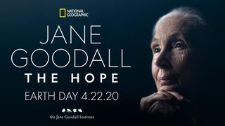 제인 구달의 희망 Jane Goodall: The Hope 写真
