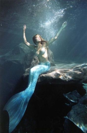 인어자매 이야기 Mermaids 사진