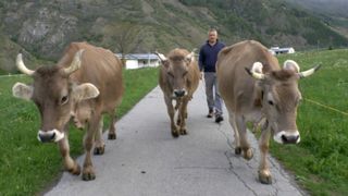 푸드 리벨스. 스토리스 오브 스몰 프로듀서스 프롬 사우스 티롤 Food Rebels. Stories of small producers from South Tyrol Foto