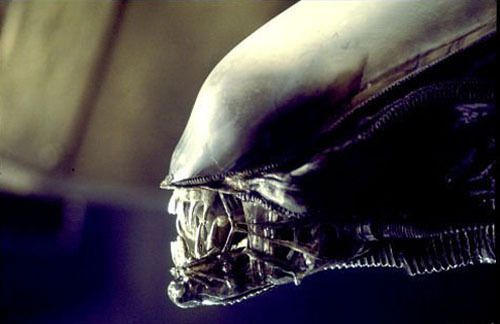 에이리언 Alien รูปภาพ