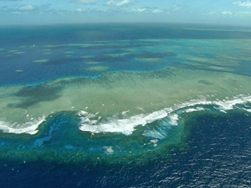 大堡礁 Great Barrier Reef Photo