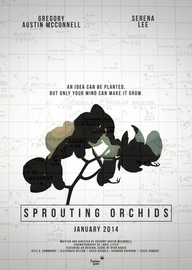 ảnh 스프라우팅 오키즈 Sprouting Orchids