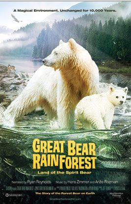 그레이트 베어 레인포레스트 Great Bear Rainforest劇照