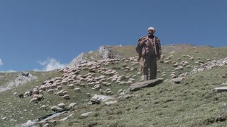 금을 실은 양과 신성한 산 The Gold-Laden Sheep & the Sacred Mountain 사진