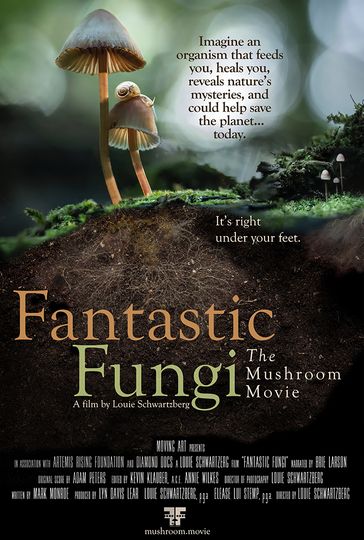 환상의 버섯 Fantastic Fungi Photo