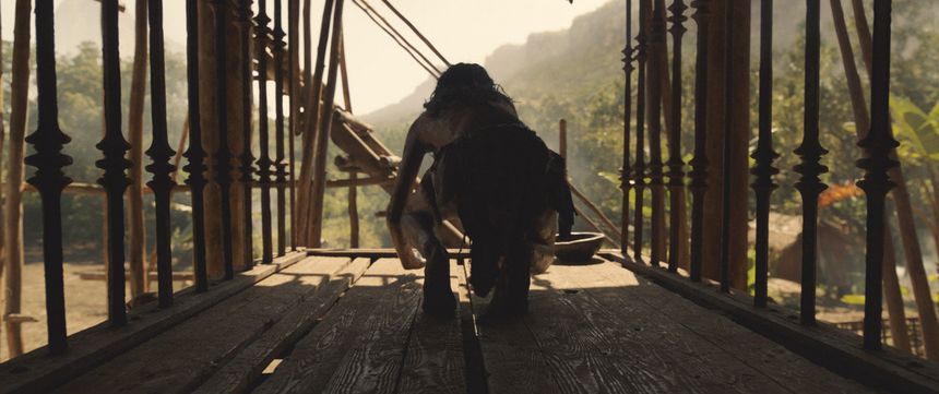 모글리 - 정글의 전설 Mowgli รูปภาพ