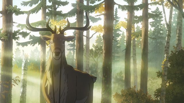 鹿の王　ユナと約束の旅 写真