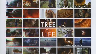 트리 오브 라이프 The Tree of Life Photo