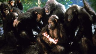 그레이스토크 Greystoke: The Legend Of Tarzan, Lord Of The Apes劇照