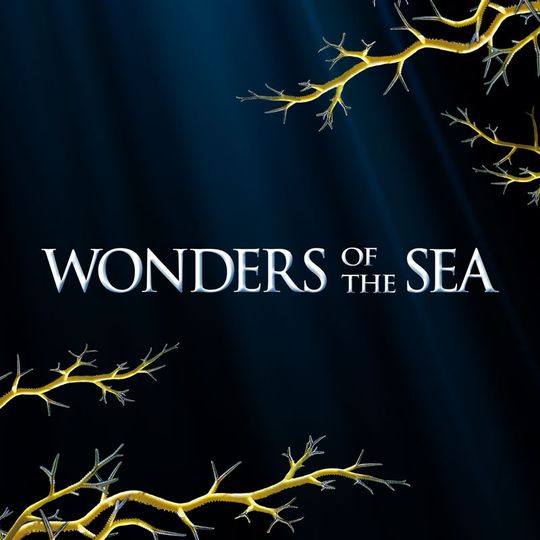 원더스 오브 더 시 3D Wonders of the Sea 3D Foto