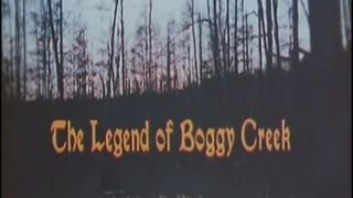 沼澤地傳奇 The Legend of Boggy Creek劇照