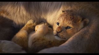 라이온 킹 The Lion King Foto