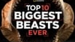 十大巨獸排行榜 Top 10 Biggest Beasts Ever劇照