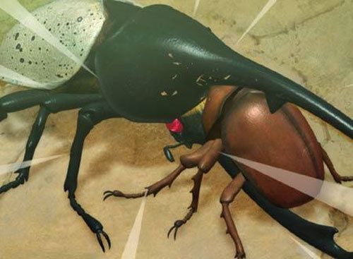 무시킹 - 러브 앤드 베리 甲虫王者ムシキング スーパーバトルムービー ～闇の改造甲虫～ 사진