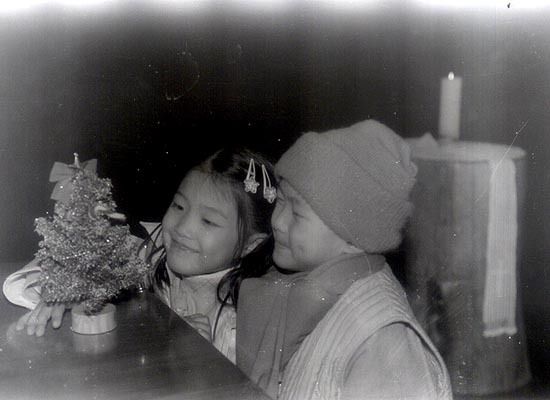 나무아미타불 Christmas Namuamitabul Christmas 写真