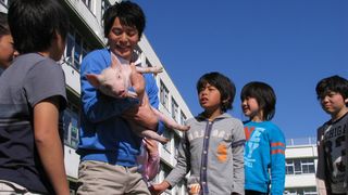P짱은 내친구 School Days with a Pig, ブタがいた教室劇照
