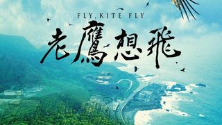 노응상비 Fly, Kite Fly Foto