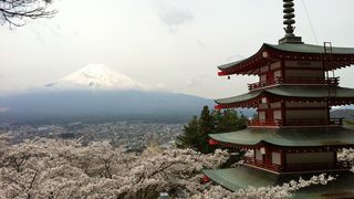 쓰나미, 벚꽃 그리고 희망 The Tsunami and the Cherry Blossom 津波そして桜劇照