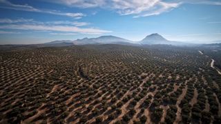 純淬：橄欖油的原鄉 Jaén, Virgen & Extra รูปภาพ