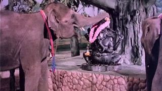 신상 Elephant is My Companion, Haathi Mere Saathi劇照