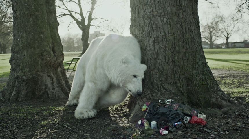 더 홈리스 폴라 베어 The Homeless Polar Bear Foto