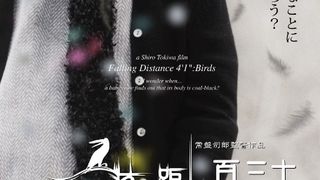 130센티미터 Falling Distance 4’1″:Birds Photo