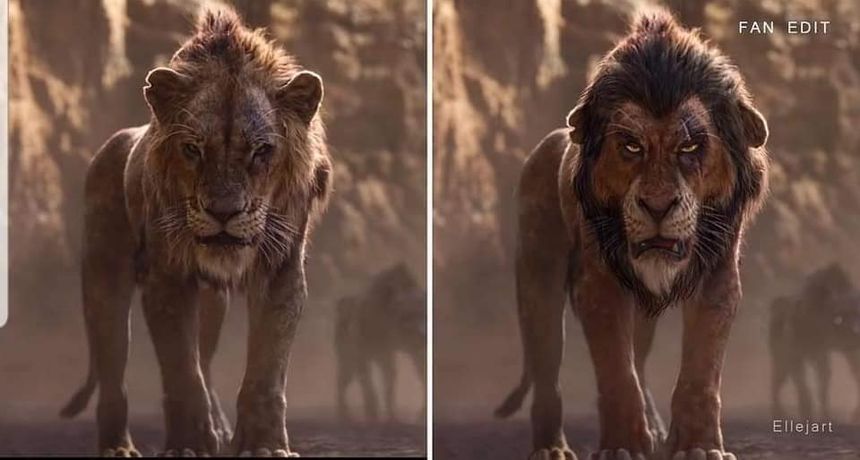獅子王 3D Lion King(2011) 写真