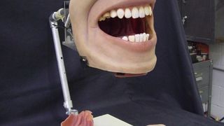 魔鬼牙醫 The Dentist Photo