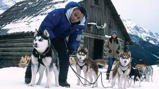 스노우 독스 Snow Dogs 사진