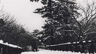 설국 Snow Country, 雪國 Photo