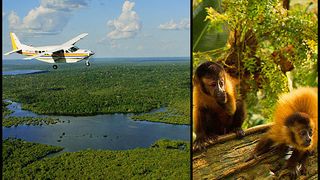 アマゾン大冒険　世界最大のジャングルを探検しよう！ Photo