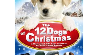12條聖誕狗狗 The 12 Dogs of Christmas劇照