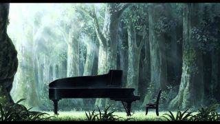 鋼琴之森 ピアノの森 사진