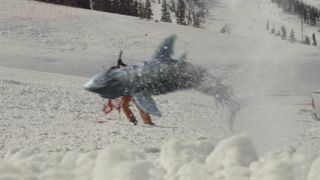 avalanche sharks sharks 사진