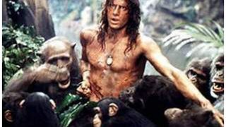 그레이스토크 Greystoke: The Legend Of Tarzan, Lord Of The Apes 사진