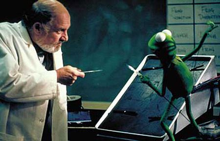 아기 개구리 커밋 Kermit\'s Swamp Years: The Real Story Behind Kermit the Frog\'s Early Years 사진