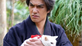 고양이 사무라이 2 Samurai Cat 2 Photo