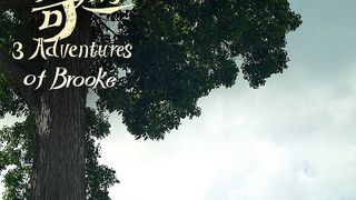 Three Adventures Of Brooke (CFF) Foto